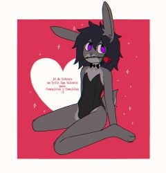 2026 absurd_res anthro black_hair bow_tie clothing crischar_foxito digital_drawing_(artwork) digital_media_(artwork) femboy flower flower_in_mouth geometric_background grey_body hair hi_res holidays lagomorph leotard leporid male mammal plant purple_eyes rabbit rose_(flower) scut_tail short_tail simple_background solo spanish_description spanish_text tail text valentine's_day