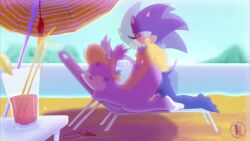 animated anthro blaze_the_cat furry hedgehoglove sonic_(series) sonic_the_hedgehog sonic_the_hedgehog_(series) sound tagme video voice_acted