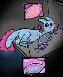 2026 ambiguous_gender amphibian anal anal_vore anthro anthro_pred anus aquatic axolotl belly blue_body blue_tail endoscopebrain endosoma feral full_tour group guts inside_intestines inside_stomach intestines lantern_mouse_(rain_world) mammal mole_salamander mouse murid murine organs purple_eyes rain_world rivulet_(rain_world) rodent safe_vore salamander slugcat tail tail_in_mouth videocult vore