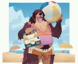 2023 anthro ball barbell_piercing beach_ball beach_umbrella belly bottomwear brown_body brown_fur canid canine canis clothing corona_(beer) domestic_dog flaccid fur genital_piercing genitals hair hair_over_eyes hi_res holding_ball holding_object hotpants humanoid_genitalia humanoid_penis inflatable male male_anthro mammal nipple_barbell nipple_piercing nipples outside overweight overweight_anthro overweight_male parasol penis penis_piercing penis_poking_out penis_through_leghole piercing pink_penis prince_albert_piercing remulle_(artist) sand shirt shorts solo spotted_tongue standing tail tan_body tan_fur tank_top tongue tongue_out topwear toroid wardrobe_malfunction whiskers