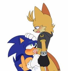 2_tails 2boys 5_fingers animal_ears animal_nose anthro anthro_penetrated anthro_penetrating anthro_penetrating_anthro armwear bar_censor big_eyes big_head black_armwear black_clothing black_gloves black_nose blowjob blue_body blue_eyes blue_fur blue_hair blue_tail blush blush_lines blushing_male bottomless bottomless_anthro bottomless_male canid canine censored censored_penis clenched_hand clothing duo eulipotyphlan fellatio fingers fox fox_ears fox_tail fur furry furry_male furry_only furry_with_furry gay gay_male gay_sex genitals gloves golosa grabbing grabbing_hair green_eyes hair_grab hand_on_another's_head hand_on_head handwear heart heart-shaped_pupils hedgehog hoodie male male/male male_anthro male_penetrated male_penetrating male_penetrating_male mammal markings mostly_nude mostly_nude_anthro mostly_nude_male multi_tail multiple_boys multiple_males narrowed_eyes open_mouth oral oral_penetration oral_sex orange_body orange_fur penetration penile penis penis_in_mouth sega sex short_sleeves short_tail simple_background sonic_(series) sonic_the_hedgehog sonic_the_hedgehog_(series) standing symbol-shaped_pupils tail tail_markings tails_the_fox tan_body tan_skin toony white_armwear white_background white_clothing white_gloves yaoi young young_anthro younger_male