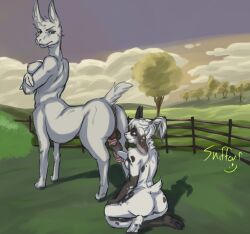 anthro antlers camelid cherie_(sniffeur) duo female feral fur genitals gynomorph horn humanoid intersex intersex/female jackalope lagomorph llama mammal mel_(foxa) penis penis_grab sniffeur standing taur white_body white_fur