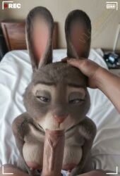 ai_generated animated anthro anthro_on_human blowjob bonnie_hopps deepthroat disney female furry furry_female looking_at_viewer mature mature_female milf oral oral_sex pov tagme video zootopia zootropolis