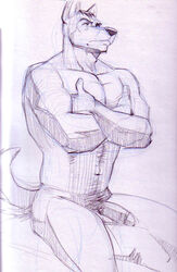 1boy anthro canine fur furry male male_only muscles penis poop_(artist) pose sketch solo