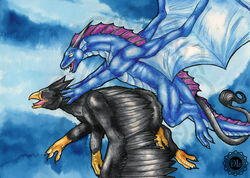 avian dragon dragonlovers feral gryphon scalie sex wings