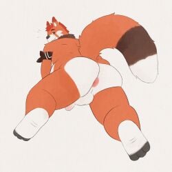 absurd_res ailurid anthro anus anus_focus ass balls chubby_male dieno genitals hi_res inkyflush kneeling male mammal overweight overweight_male penis presenting presenting_anus presenting_hindquarters rear_view red_panda slightly_chubby solo spread_anus spreading