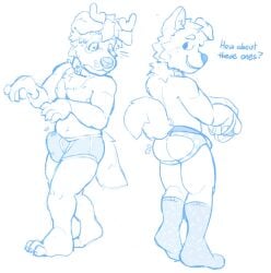 anthro ass briefs bulge canid canine canis clothing collar domestic_dog duo fluffy footwear grubskull herding_dog hi_res hybrid jockstrap male male/male mammal pastoral_dog socks teasing tundra_(puppytundra) underwear welsh_corgi wet wet_clothing