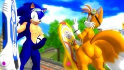 3d anamelesschao ass fox hedgehog miles_prower sega sonic_(series) sonic_riders sonic_the_hedgehog sonic_the_hedgehog_(series) tagme tail tails tails_the_fox