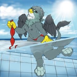 anthro avian breasts clothing female friendship_is_magic gabby_(mlp) gryphon hasbro hindpaw my_little_pony mythological_avian mythology paws solo swimming_pool swimwear