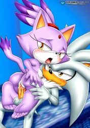 blaze the cat from sega by bbmbbf