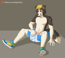 1boy abdl anthro blonde_hair blue_eyes canine diaper diaper_change diaper_fetish diaperdork_(artist) diaperfur digital_drawing_(artwork) digital_media_(artwork) flaccid flaccid_cock flaccid_penis furry genitals half_naked humanoid_genitalia humanoid_penis infantilism male multicolored_body multicolored_fur nude penis sneakers solo spots spotted_body spotted_fur spotted_tail tail tongue tongue_out