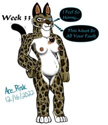 anthro aroused belly breasts clouded_leopard dreamworks felid feline female fur genitals hi_res kung_fu_panda mammal navel outie_navel pantherine pregnant progression pussy solo spots spotted_body spotted_fur su_wu tattoo wide_hips wu_sisters