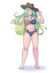 1girls alternate_costume american_flag_bikini aqua_eyes bikini blue_eyes breasts cleavage cowboy_hat female female_only fire_emblem fire_emblem:_path_of_radiance fire_emblem:_radiant_dawn fuzzy-alt green_eyes green_hair hat long_hair looking_at_viewer medium_breasts multicolored_hair nephenee_(fire_emblem) nintendo solo swimsuit