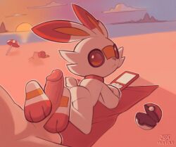 ambiguous_gender anthro duo foot_fetish foot_play footjob fur furry generation_8_pokemon genitals hi_res human joooji looking_at_viewer lying male male/ambiguous mammal nintendo penis pokemon pokemon_(species) pokephilia red_eyes scorbunny sex tail white_body