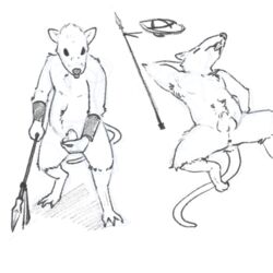 2021 anthro anus balls biped genitals jads_l_rutan low_res lying male mammal melee_weapon penis polearm rodent shield simple_background skaven solo spear warhammer_(franchise) warhammer_fantasy weapon white_background