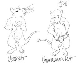 2021 anthro balls biped bulge clothing english_text genitals humanoid_hands jads_l_rutan male mammal murid murine rat rodent simple_background solo text underwear white_background