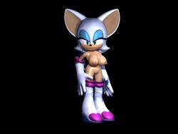 rouge the bat from sega by zareste