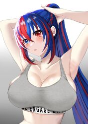 1girls alear_(female)_(fire_emblem) alear_(fire_emblem) alternate_breast_size alternate_costume alternate_hairstyle armpits arms_behind_head big_breasts blue_eyes blue_hair breasts busty cleavage female female_only fire_emblem fire_emblem_engage gym_uniform huge_breasts large_breasts light_skin long_hair looking_at_viewer multicolored_hair nintendo official_alternate_hairstyle ponytail red_eyes red_hair solo tara_(szzj7733) two-tone_hair very_long_hair