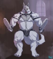 anthro body_hair chest_hair clothing death_(personification) dildo fur furry genitals hi_res jockstrap looking_at_viewer male male_only neofi nipple_piercing nipples penis piercing puss_in_boots_the_last_wish sex_toy solo underwear vein veiny_penis