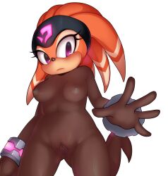 2021 accessory alpha_channel anthro areola armband blush bodysuit breasts brown_bodysuit camel_toe clitoral_hood clitoris clothing echidna female fur genitals headband hi_res mammal monotreme navel nipples orange_body orange_fur png purple_eyes pussy sandopoliszone sega shade_the_echidna skinsuit solo sonic_(series) sonic_chronicles:_the_dark_brotherhood sonic_the_hedgehog_(series) spread_pussy spreading tight_clothing translucent translucent_clothing