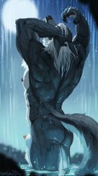 animal_genitalia anthro ass biped canid canine canis fur genitals hair hi_res light lynncore male mammal moonlight night nipples partially_submerged penis penis_tip sheath solo waterfall waterfall_shower wet wet_body wet_fur wet_hair wolf