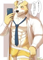 2022 abs anthro blush boxer_briefs bulge canid canine canis cellphone clothed clothing detailed_bulge digital_drawing_(artwork) digital_media_(artwork) domestic_dog dress_shirt fur genital_outline hair hi_res holding_cellphone holding_object holding_phone holding_smartphone japanese_text kiramofu male mammal muscular muscular_anthro muscular_male necktie open_clothing open_shirt open_topwear partially_clothed pecs penis_outline phone shirt smartphone solo text topwear underwear white_body white_clothing white_fur white_hair white_shirt white_topwear yellow_body yellow_boxer_briefs yellow_clothing yellow_eyes yellow_fur yellow_underwear