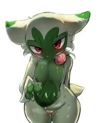 floragato from nintendo by menyang