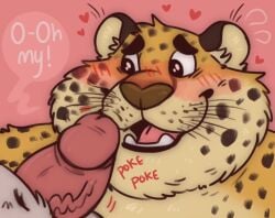 2023 anthro anthro_on_anthro benjamin_clawhauser black_eyes blush blush_lines campfire_donut cheetah contact_onomatopoeia countershading dialogue digital_media_(artwork) disney duo english_description english_text erection faceless_character faceless_male fangs felid feline fur genitals glistening glistening_eyes happy heart humanoid_genitalia humanoid_penis inner_ear_fluff looking_at_genitalia looking_at_penis male male/male mammal navel onomatopoeia open_mouth open_smile overweight overweight_anthro overweight_male penis penis_on_face pink_background pink_penis short_penis simple_background smile solo_focus sound_effects spots spotted_body spotted_fur tan_body tan_countershading teeth text thick_penis tongue tuft vein veiny_penis whiskers yaoi yellow_body yellow_fur zootopia