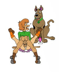 after_sex bottomless cum cum_in_pussy cum_inside cum_pool cumdrip dennis_clark hanna-barbera pussy scooby-doo scooby-doo_(character) sex shaggy_rogers vaginal_penetration velma_dinkley zoophilia