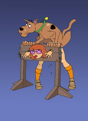 bondage dennis_clark dog female feral glasses hanna-barbera human interspecies male pale_skin public_use rape scooby-doo scooby-doo_(character) sex stocks straight tagme velma_dinkley zoophilia