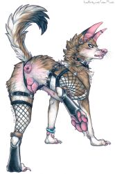 anatomically_correct anatomically_correct_genitalia anatomically_correct_pussy animal_genitalia animal_pussy anus ass brown_body brown_fur canid canine canine_genitalia canine_pussy canis chin_piercing claws clothed clothed_feral clothing collar coyote ear_piercing facial_piercing fangs female feral fishnet fishnet_legwear fur garter_straps genitals hi_res industrial_piercing legband legwear lingerie lingerie_on_feral mammal nose_piercing nose_ring one_leg_up pawpads piercing presenting presenting_hindquarters presenting_pussy punk pussy raised_leg ring_piercing solo spiked_collar spikes teeth toots whiskers white_eyes