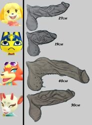 4futas animal_crossing animal_crossing_new_horizons ankha ankha_(animal_crossing) anthro artist_request audie_(animal_crossing) ball_size_difference balls big_balls big_penis chart erection futanari huge_cock isabelle_(animal_crossing) nintendo penis penis_chart penis_size_chart penis_size_comparison penis_size_difference shino_(animal_crossing) source_request vein veins veiny_penis warts