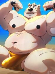 1boy bara beach beefy belly big_belly black_nipples black_nose bulge chubby dark_nipples flaccid furry furry_male furry_only gay male male_focus male_only muscles muscular muscular_male overweight solo solo_focus solo_male speedo taoren white_fur