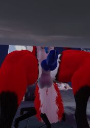 3d animal_genitalia animal_genitals animal_penis anthro anthro_only balls blue_penis canid canine canine_genitalia canine_genitals canine_penis erect erect_penis erection fox fur furry furry_only knot male male_only naked nude penis precum precum_drip precum_on_penis precum_string rain_jur red_fox red_fur rexouium solo solo_focus tagme twitter url vr_media vrchat vrchat_avatar vulpine white_belly