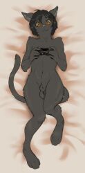 2017 animal_genitalia anthro balls bedding bedding_background biped controller dakimakura_design digital_media_(artwork) felid feline fur game_controller genitals grey_body grey_fur grey_hair hair hindpaw holding_controller holding_game_controller holding_object kilver looking_at_viewer lying male mammal on_back orange_eyes paws pink_nose sheath solo tail