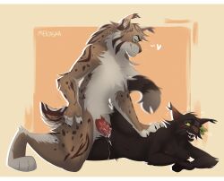 hollyleaf (warriors) from warriors (cats) by mekaska