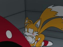 animated ass blowjob blowjob_face blue_eyes cum_in_mouth dick dr_robotnik fellatio femboy forced fox fuckboy furry gay holding_penis human innocent kneeling male male/male nervous penis protagonistsub_antagonistdom scared shocked shy small_sub_big_dom sonic_(series) sonic_the_hedgehog_(series) sound spanky15 sucking sucking_penis tagme tails video yaoi yellow_body yellow_fur