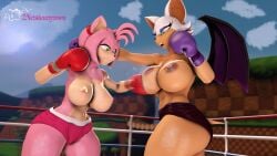 16:9 2023 2girls 3d 3d_(artwork) amy_rose amy_rose_(warfaremchine) angry anthro bat big_breasts big_thighs bodily_fluids bottomwear boxing boxing_gloves boxing_ring breasts catfight clothed clothing dietshantytown digital_media_(artwork) duo eulipotyphlan female female/female female_only fight fighting_ring gloves green_hill_zone handwear hedgehog hi_res mammal motion_blur nipples outside patreon purple_boxing_gloves purple_gloves red_boxing_gloves red_gloves rouge_the_bat rouge_the_bat_(warfaremchine) sega shorts sonic_(series) sonic_the_hedgehog_(series) source_filmmaker sport sweat thick thick_hips thick_thighs topless topless_boxing watermark wide_hips widescreen wings