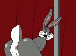 animated ass ass_focus asshole bending_over buckteeth bugs_bunny bunny_ears dancing furry gay looking_at_viewer music penis rabbit rear_view solo sound spanky15 stripper stripper_pole tagme video