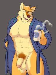 anthro balls bottomless canid canine canis circumcised circumcision_scar clothed clothing coffee_mug flaccid fur genital_scar genitals hi_res holding_mug holding_object inner_ear_fluff male mammal mug muscular muscular_anthro muscular_male neck_tuft nipples open_clothing open_robe orange_body orange_fur penis pubes robe scar solo steam tan_body tan_fur tuft vasuki wolf