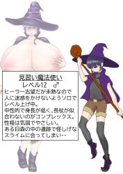 apprentice mage (ohitsuji) fan art