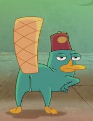 anal_fluids anus anus_only ass bodily_fluids clothing disney featureless_crotch feet feral fez fur half-closed_eyes hat headgear headwear looking_at_viewer male male_only mammal membrane_(anatomy) monotreme narrowed_eyes perry_the_platypus phineas_and_ferb platypus presenting presenting_hindquarters raised_tail screencap_edit solo tail teal_body teal_fur third-party_edit toes webbed_feet