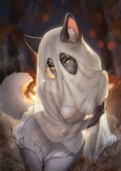 2025 anthro areola biped breasts canid canine claws clothing costume countershade_torso countershading digital_drawing_(artwork) digital_media_(artwork) female finger_claws fingers fox front_view fur green_eyes grey_body grey_fur grey_tail hi_res lanhai looking_at_viewer mammal night nipples nude nude_anthro nude_female outside sitting smile solo tail translucent translucent_clothing white_hair