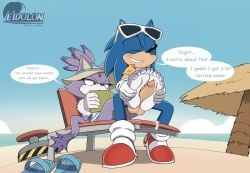 blaze the cat from sega by arts eidolon