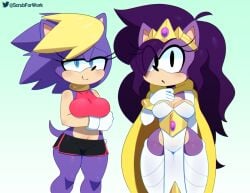 bernadette hedgehog from sonic (series) by somescrub