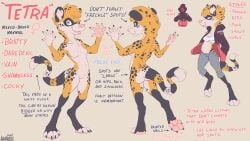 2022 4_toes animancer clothed clothing english_text feet female fur furry hi_res hoodie mammal model_sheet mustelid no_humans nude orange_body orange_fur pawpads paws signature simple_background solo spots standing tetra_(animancer) text toes topwear