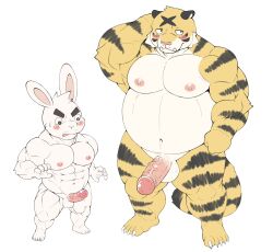 2023 anthro balls belly big_belly blush duo erection felid genitals hi_res hupi1008 kemono lagomorph leporid male male/male mammal moobs muscular muscular_male navel nipples overweight overweight_male pantherine penis penis_size_difference rabbit tiger