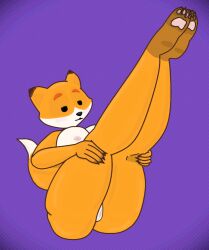 ass fox foxtrot foxtrot_(copyright) furry legs_up orange_fur tagme tail thebublik7 vagina