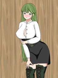 Palla (Fire Emblem) Rule 34 Image
