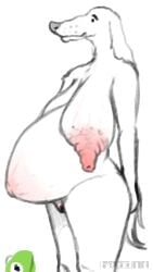 anthro areola band1tnsfw belly big_areola big_breasts borzoi breasts canid canine canis domestic_dog female hi_res huge_nipples hunting_dog kermit_the_frog let_me_do_it_for_you long_breasts mammal nude pregnant sagging_breasts sighthound solo stretch_marks veiny_breasts